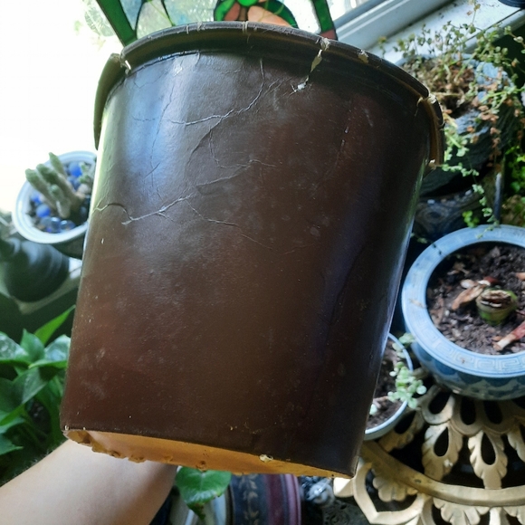 ~{KFC}~ Vintage 1969 KFC Chicken bucket. - Picture 8 of 10